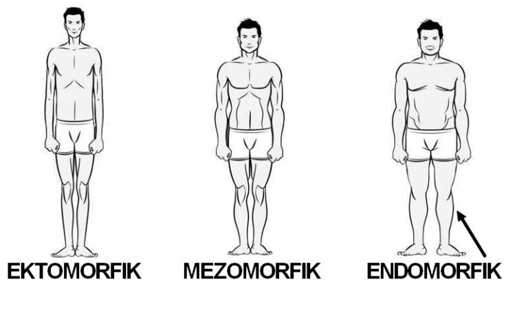 endomorfik schemat